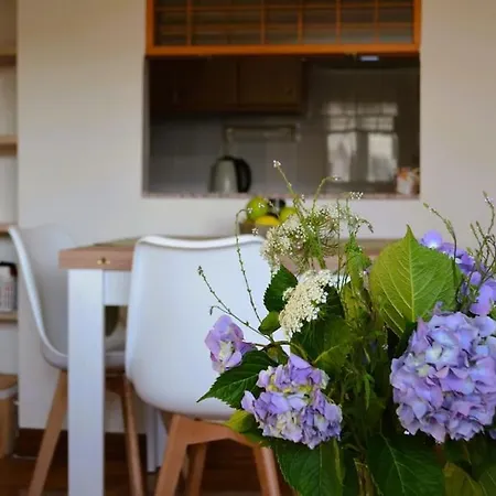 Explora A Pie Appartement Oviedo