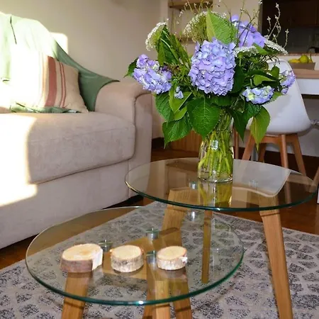 Apartment Explora A Pie